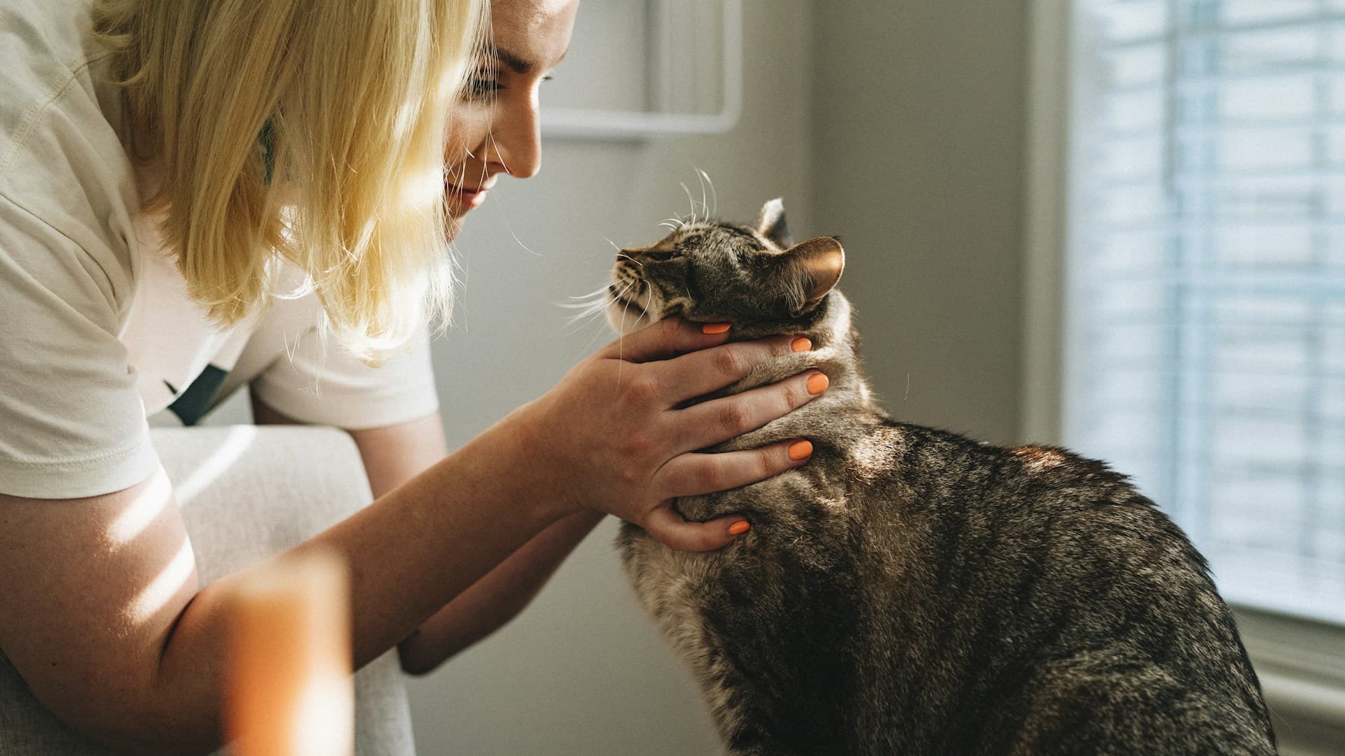 Klinik Veterinar